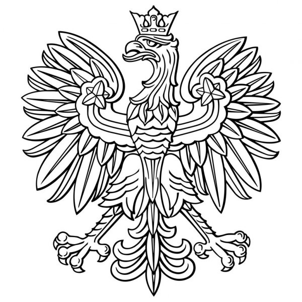 depositphotos 165069802 stock illustration poland eagle polish national coat
